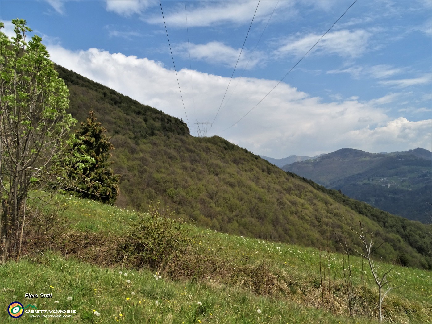 93 Uno sguardo verso la linea tagliafuoco salita.JPG